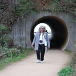 Cambria2010_236 ()